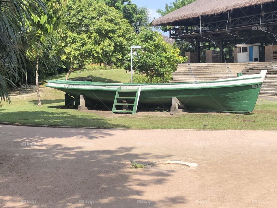 Boat in white and green and a green iguana