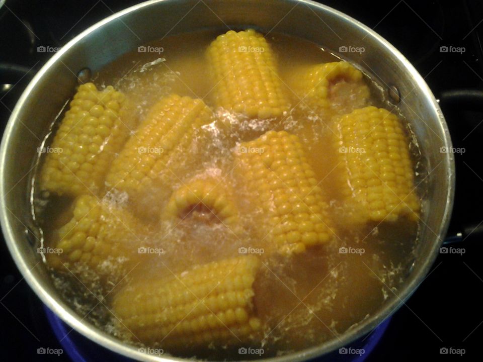Corn on The Cob. Contributing corn for a bbq