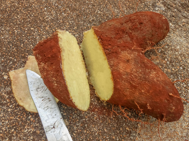 Cut Yellow Yam