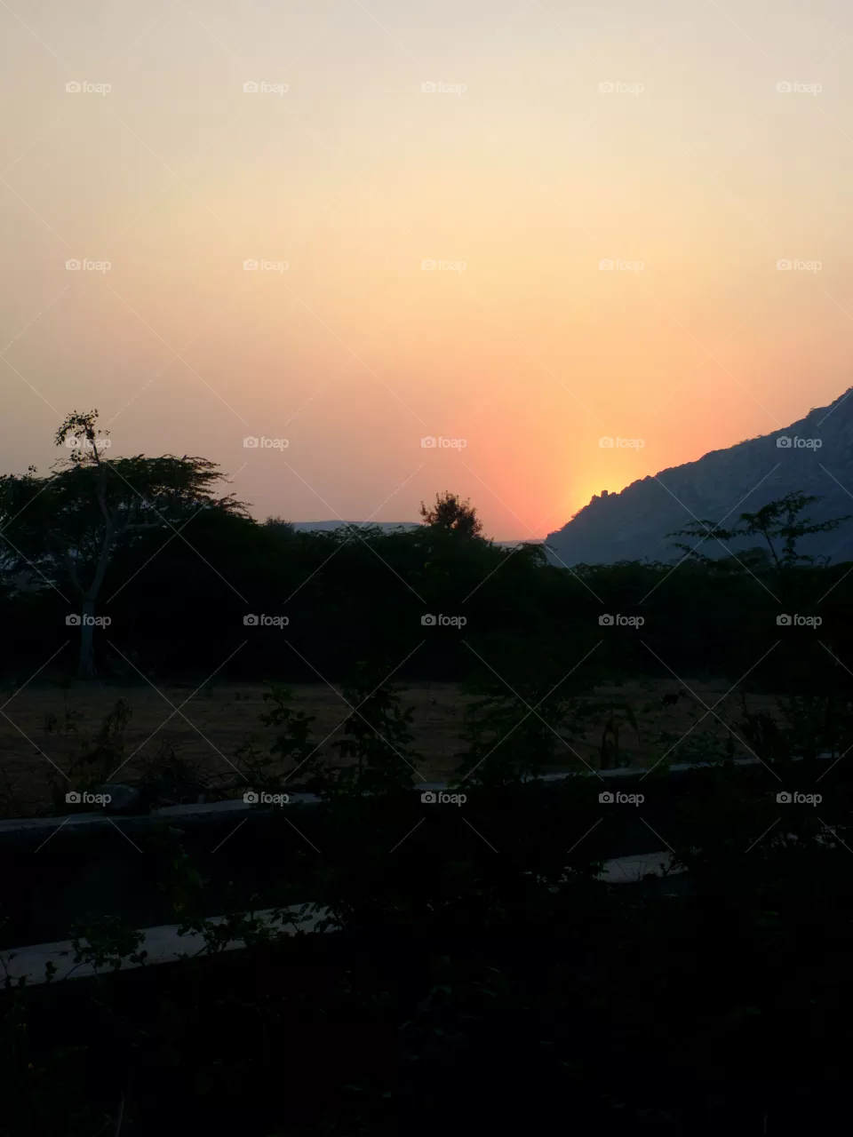 evening