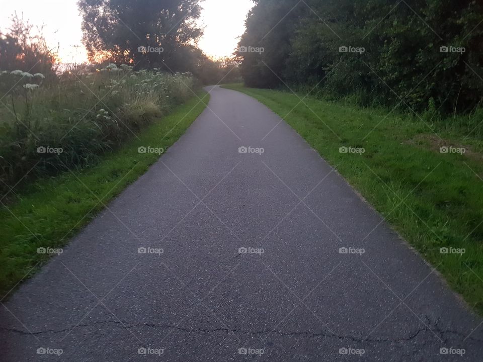 Hiking trail in the forest.