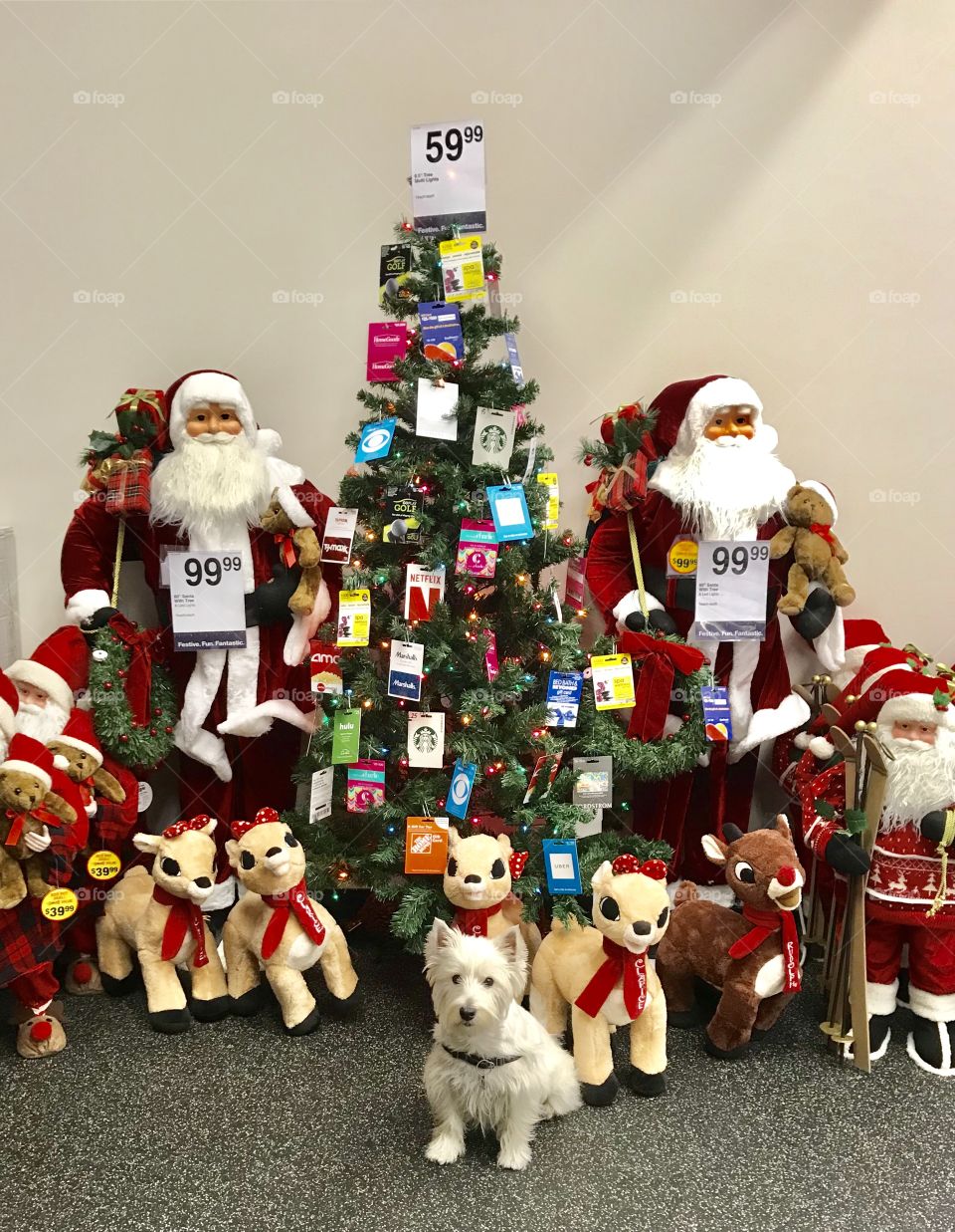 Rudolph was not ready to lead the pack.... Mac stepped up!