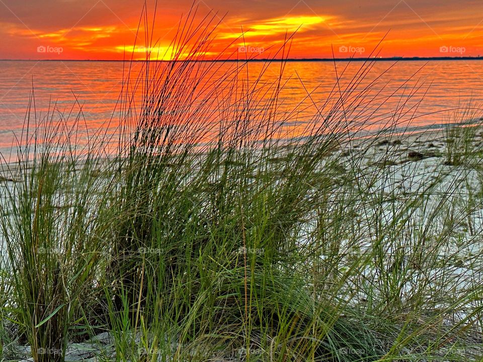 The beautiful sunsets and the cool and soft touch of the white sand of the Gulf of Mexico in Florida is truly exquisite and one of the top attractions to the beach