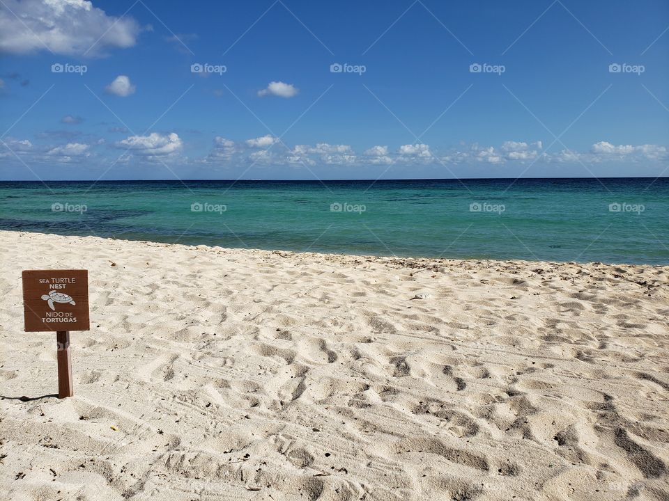 Turtle Hatching Beach