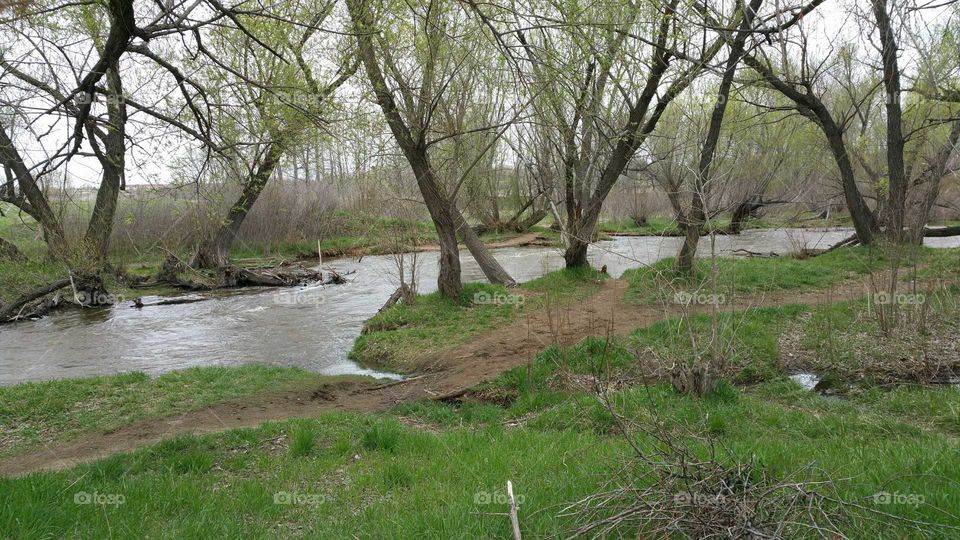 Stone House Park .... Bearcreek is running high!