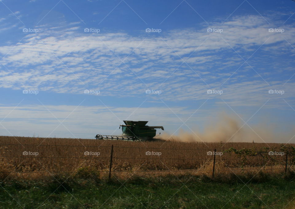 Fall Harvest