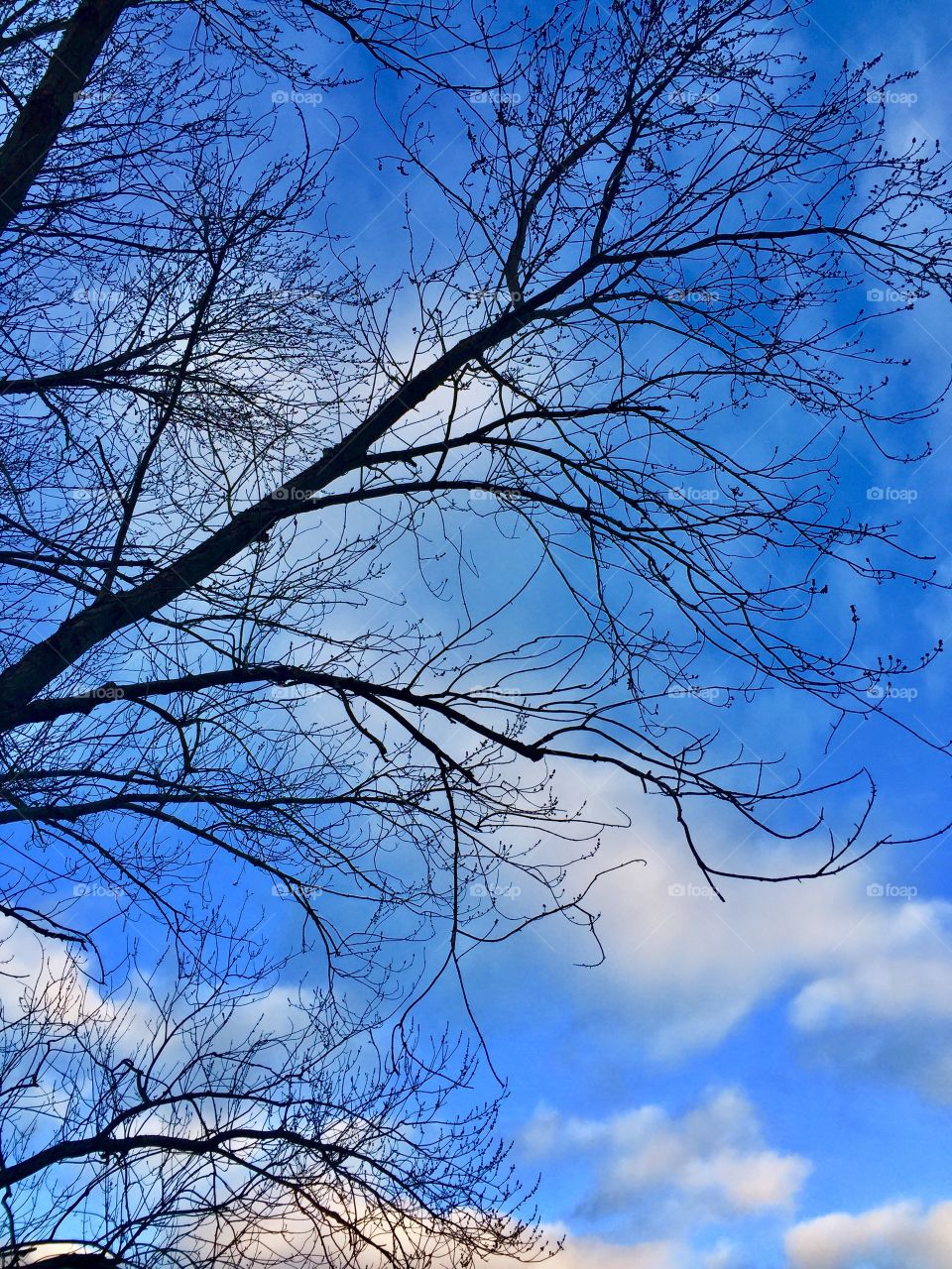 Beautiful morning blue skies. 