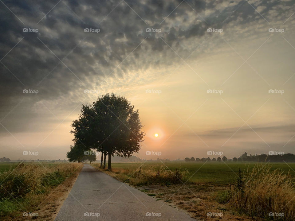 Dark Fluffy clouds being chased away by the sunrise over a rural landscape with a dirt road and some lonely trees