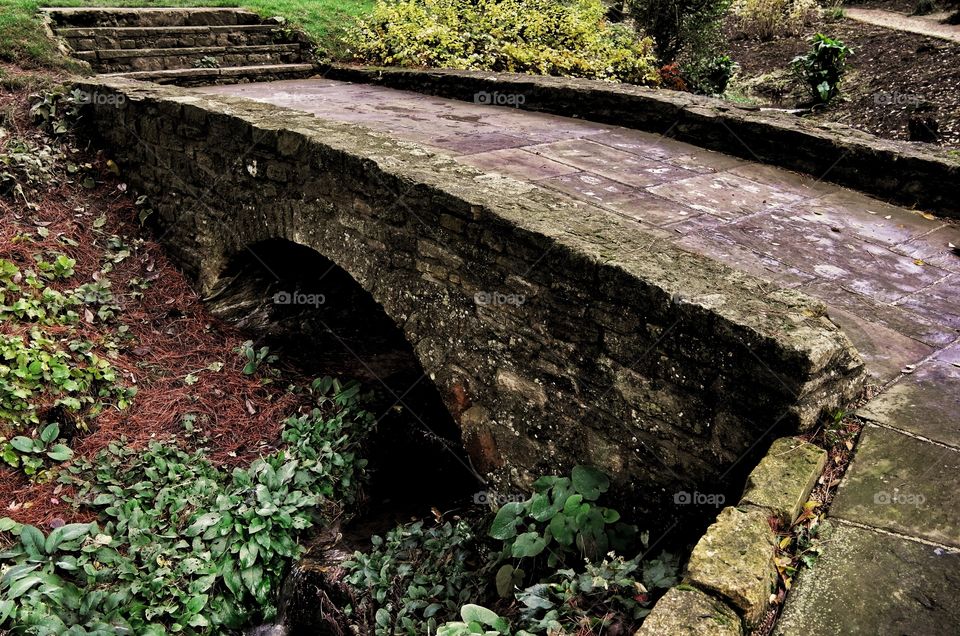 Bridge. Garden 