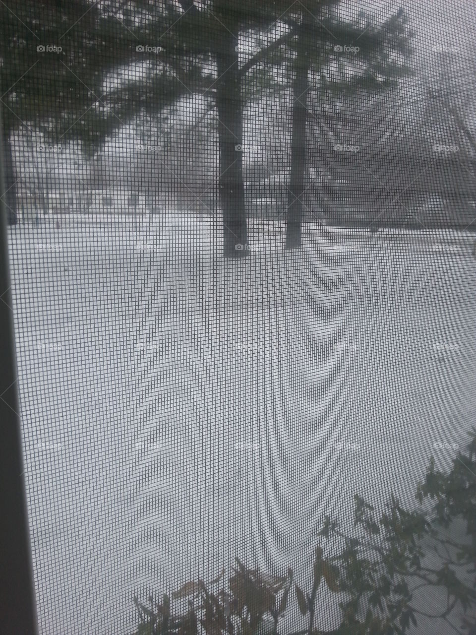 winter window screen