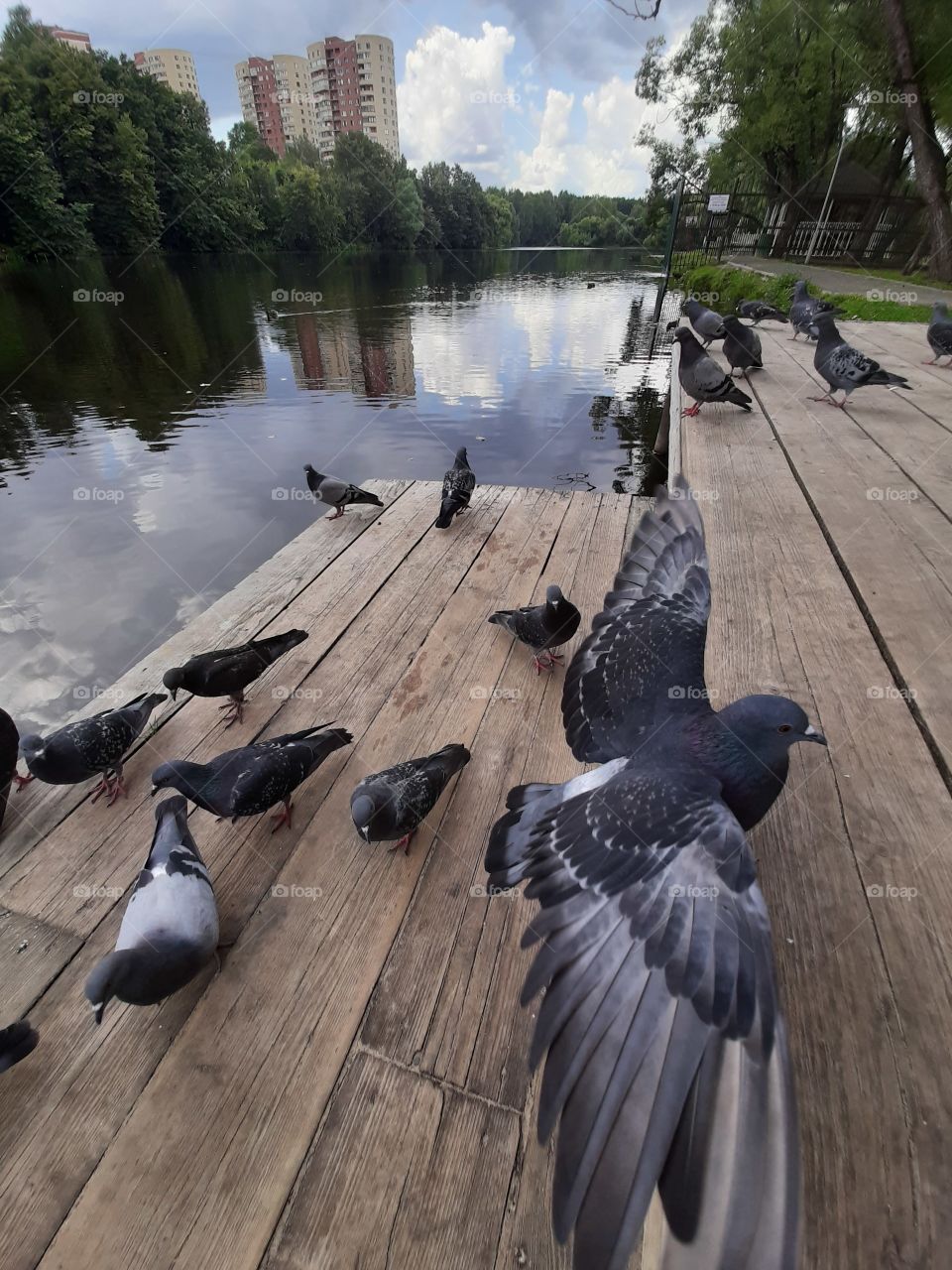 Вот   так   размах!