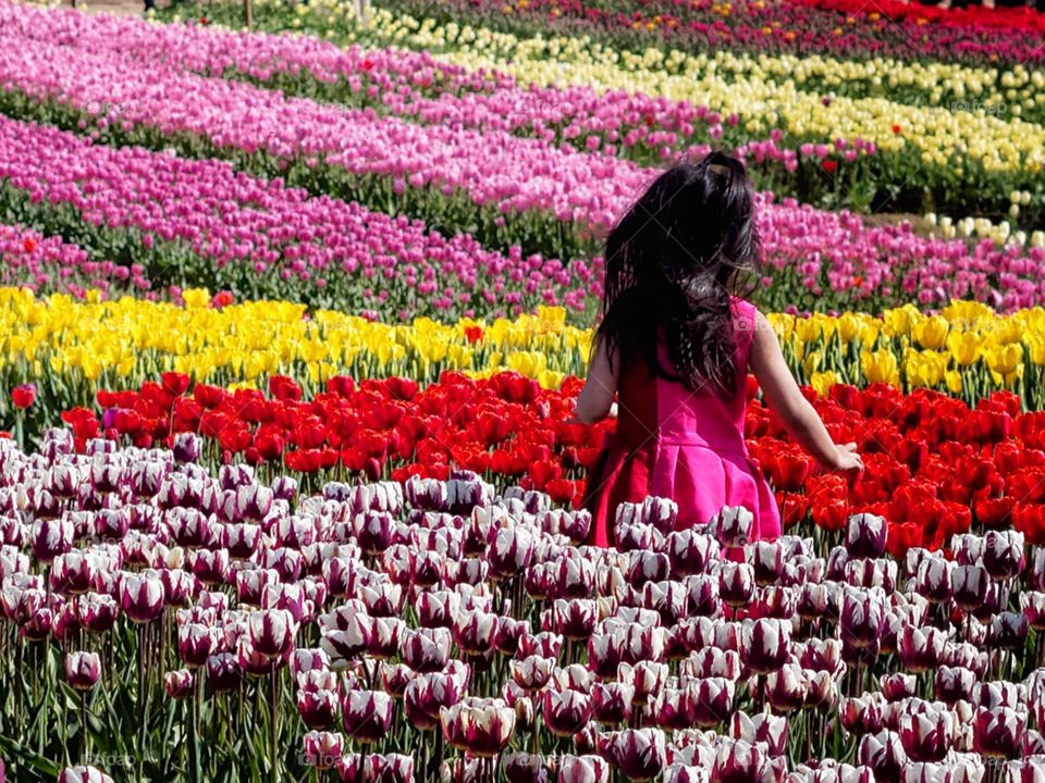 Tiptoe through the tulips. Child having fun on a beautiful spring day!