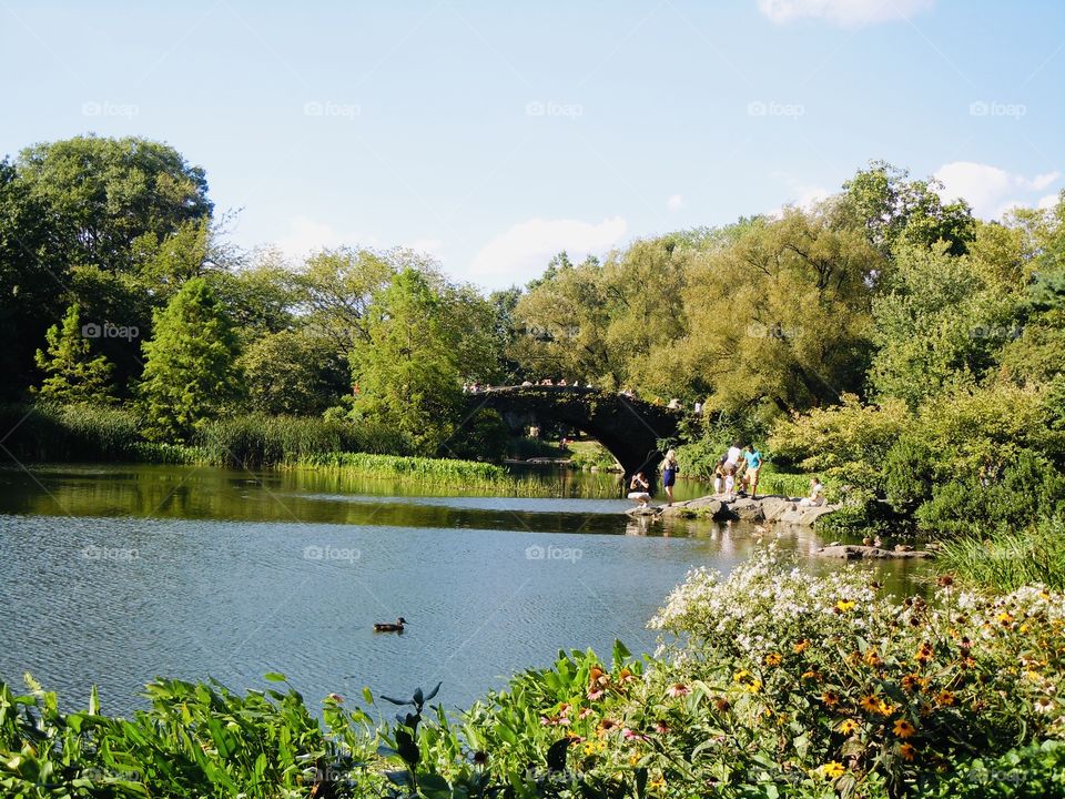 Gapstow bridge Central Park 