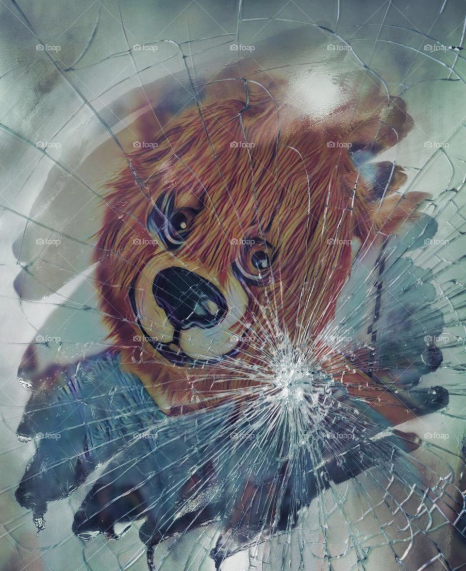 A Bear Peers Back At You Through A Cracked Mirror🐻