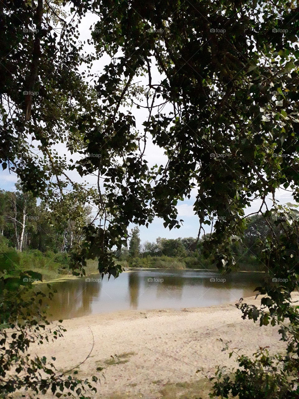 a pond at country side