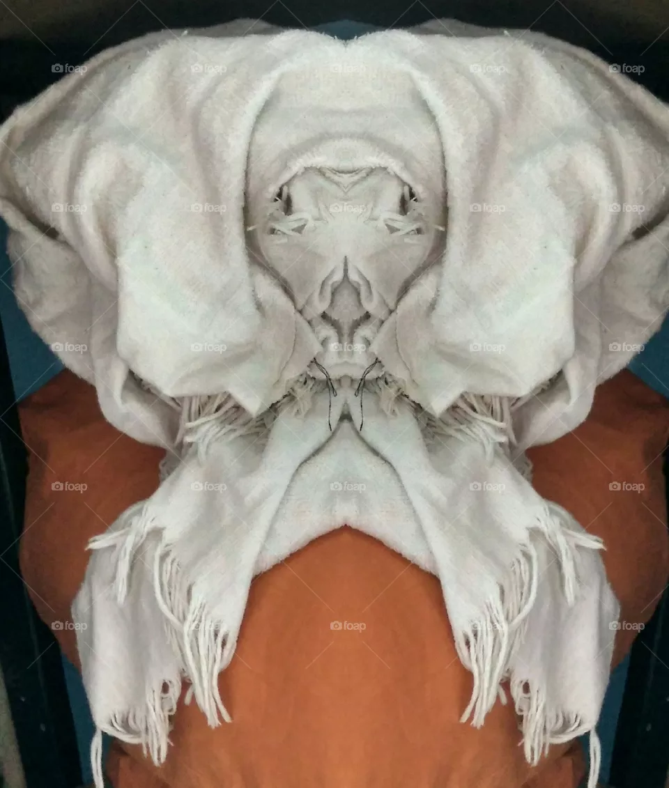 cloth
