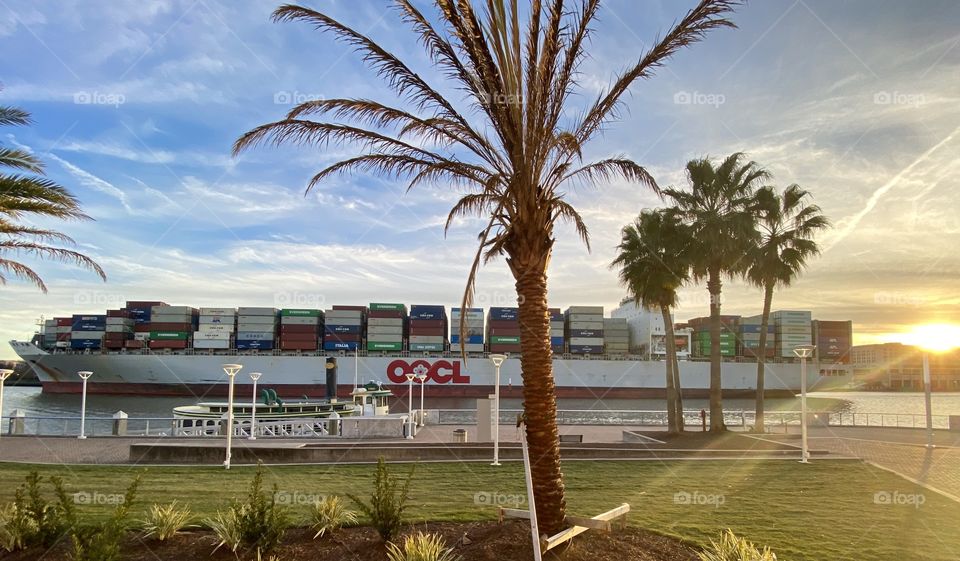 Cargo ship in Savannah, Georgia USA