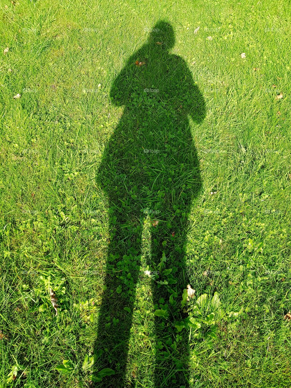 Shadow on grass