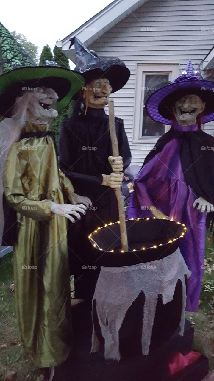 witches three