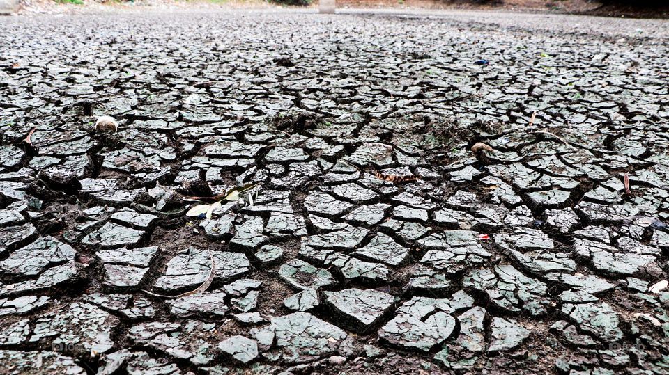 Future world will be like this when you waste a drop of water...  Please be aware...  Please SAVE WATER💧 #SAVEWATER #SAVELIVES