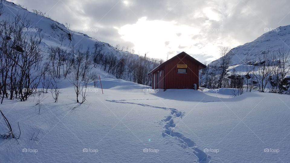 Winter landscape