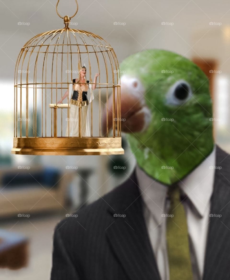 Quando un grafico si annoia