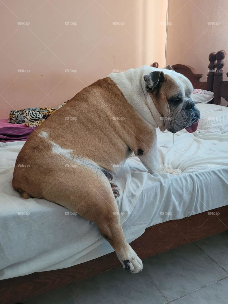 Só  mais cinco minutinhos