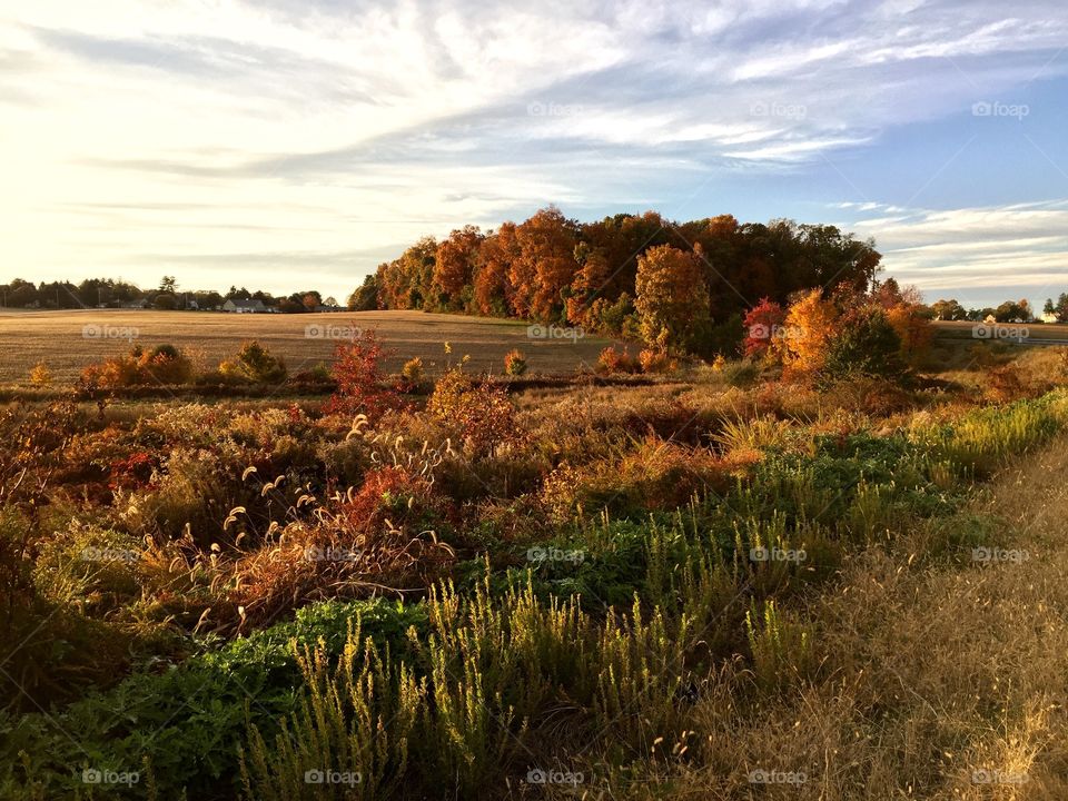 Fall in the countryside 
