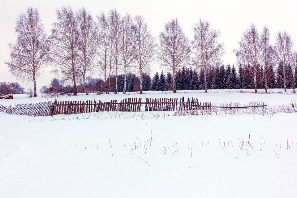 Rural winter landscape