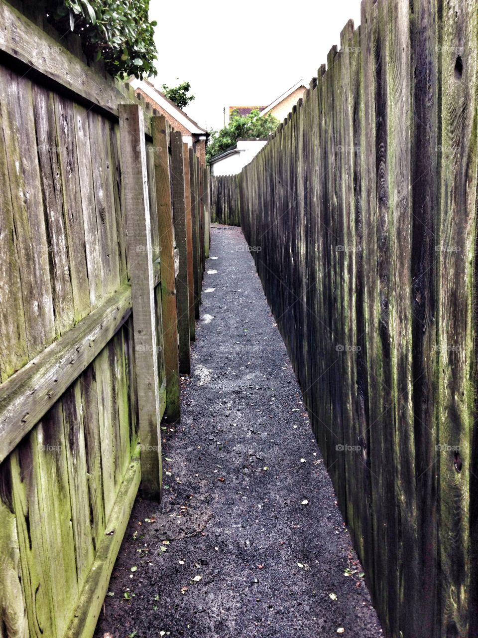 Passage way. Footpath between fences
