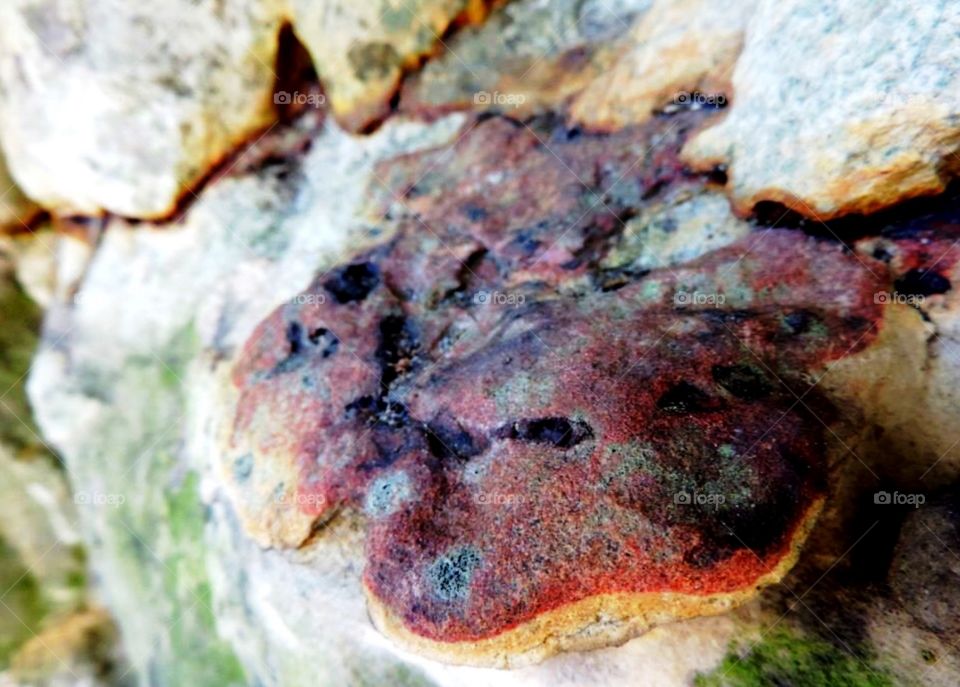 Copperhead rock