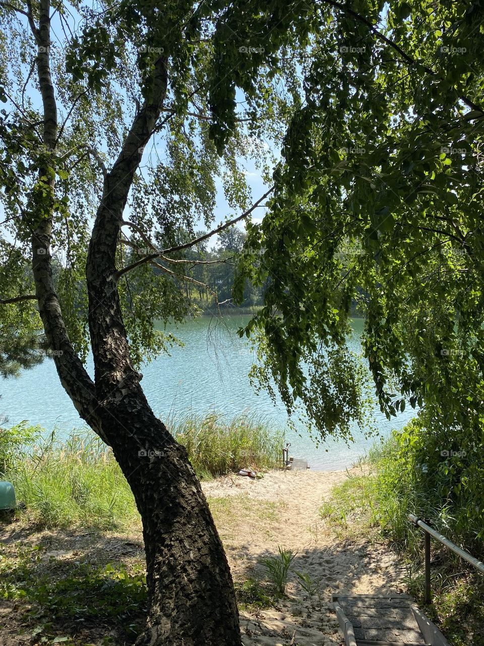 die wundervolle Natur meiner Heimat.