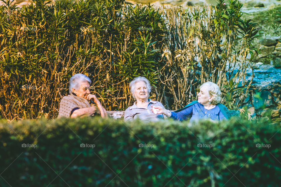 Group Of Friends Elderly Women Talking In Park
