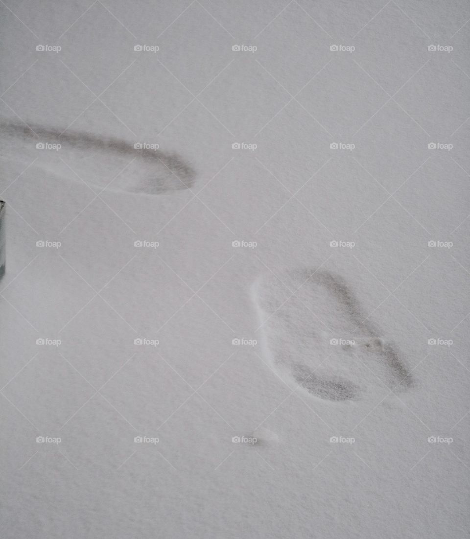 footprints on snow