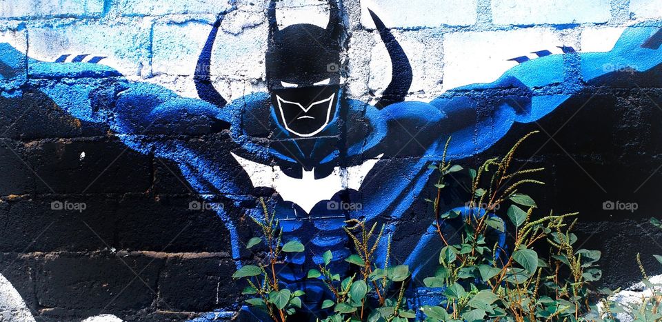 beautiful batman wall art