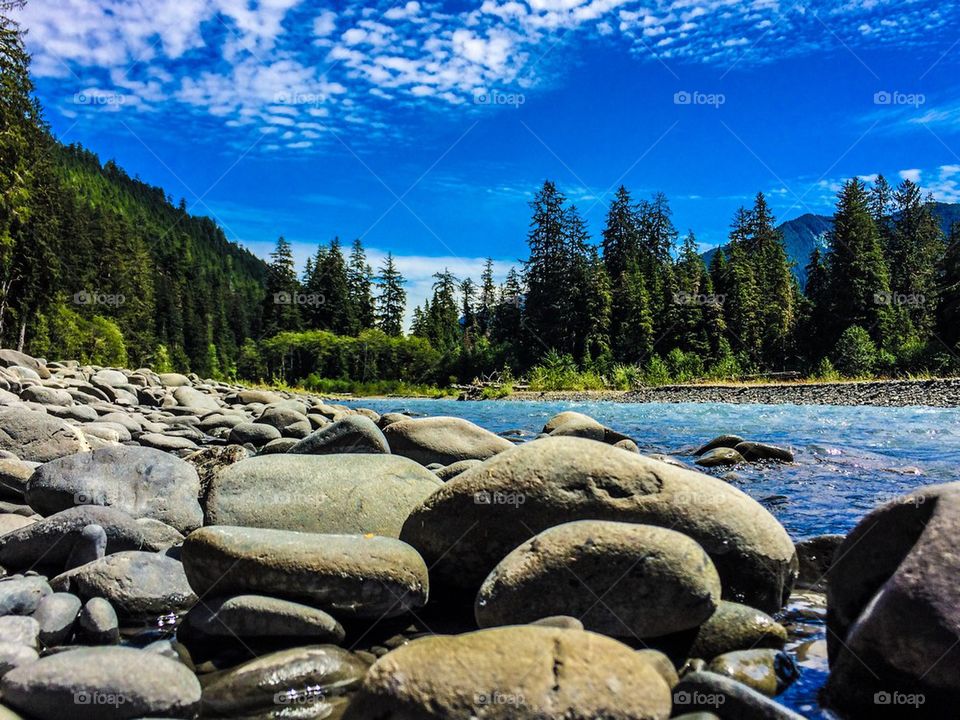 Hoh River