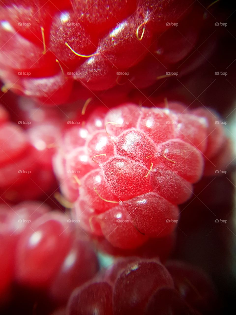 raspberry macro shot