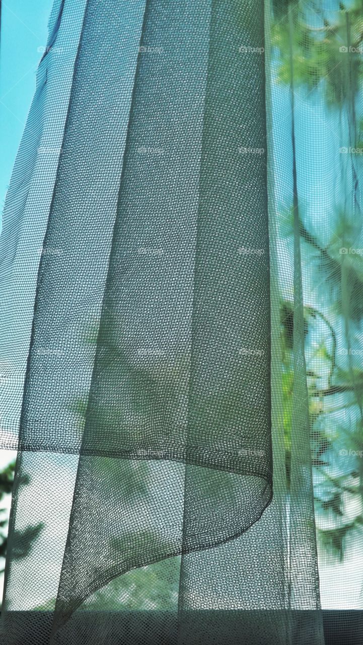 screen in the window