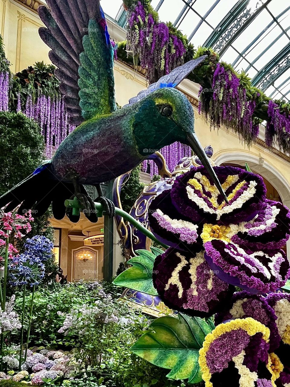 Springtime Hummingbird