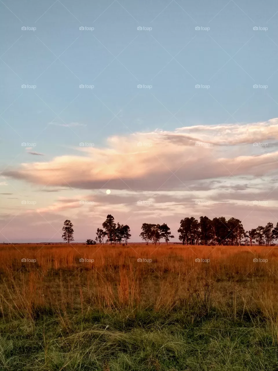 Naturaleza