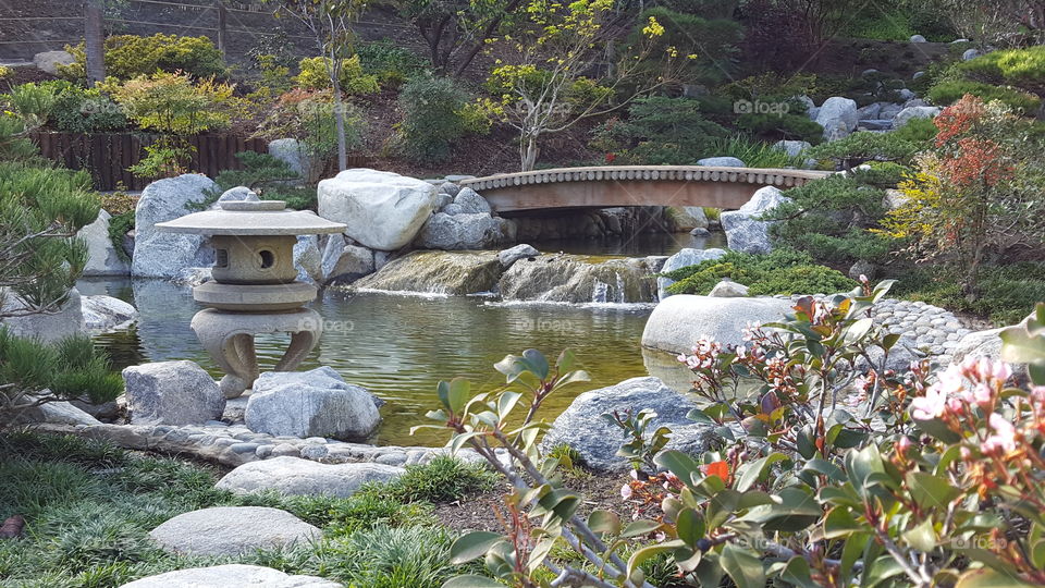 A Japanese garden in Balboa Park, San Diego