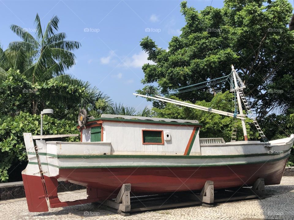 Boat painted in white, red, green and orange surrounded by a tropical nature