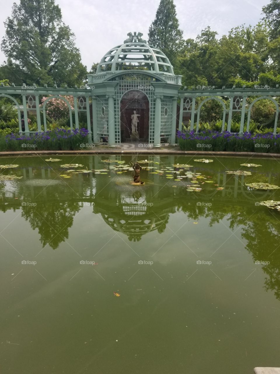 Pool, Water, No Person, Garden, Reflection