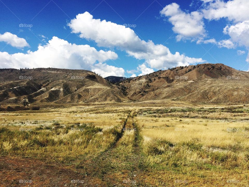 Grassy field against blue sky