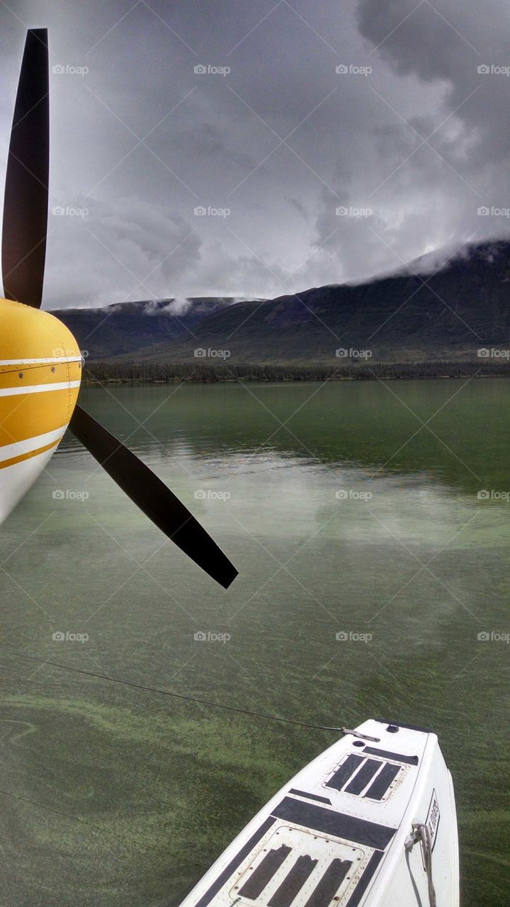 Algae Bloom on mountain lake Wrangell/St Elias Park and Reserve