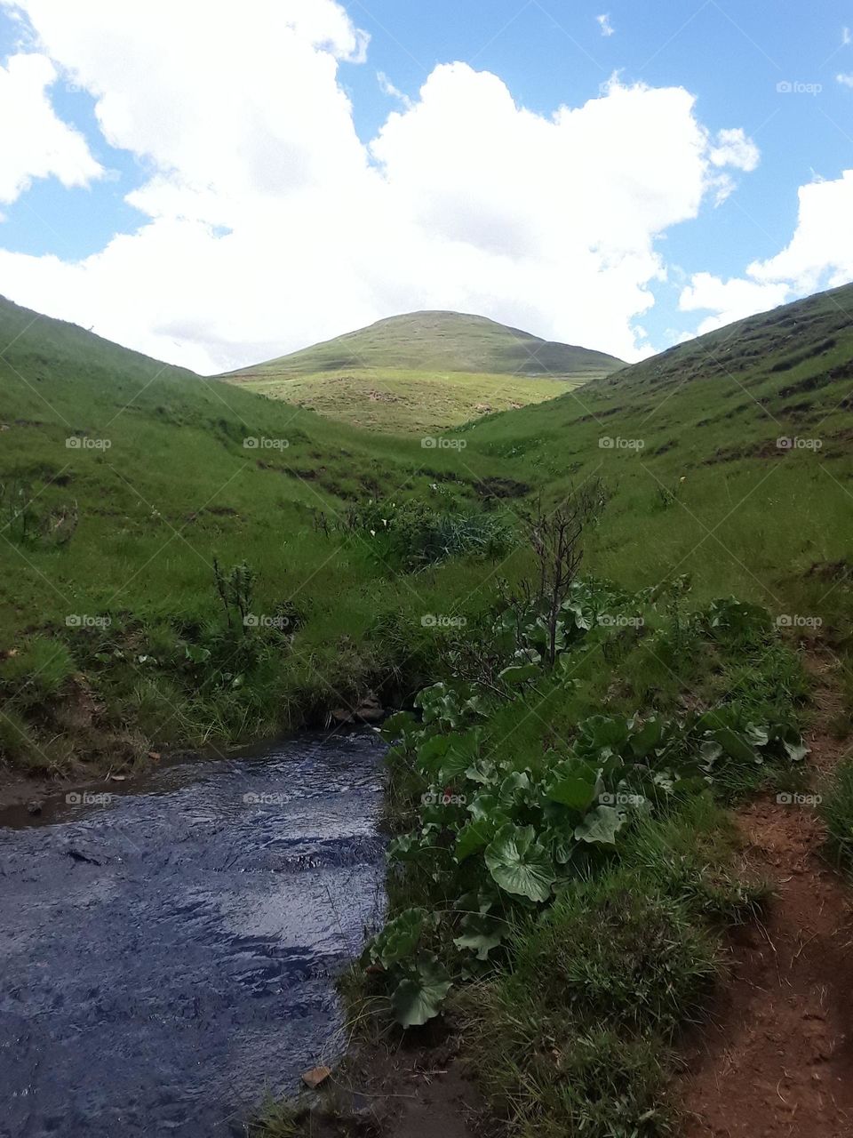 A view of escarpment and the surroundings.