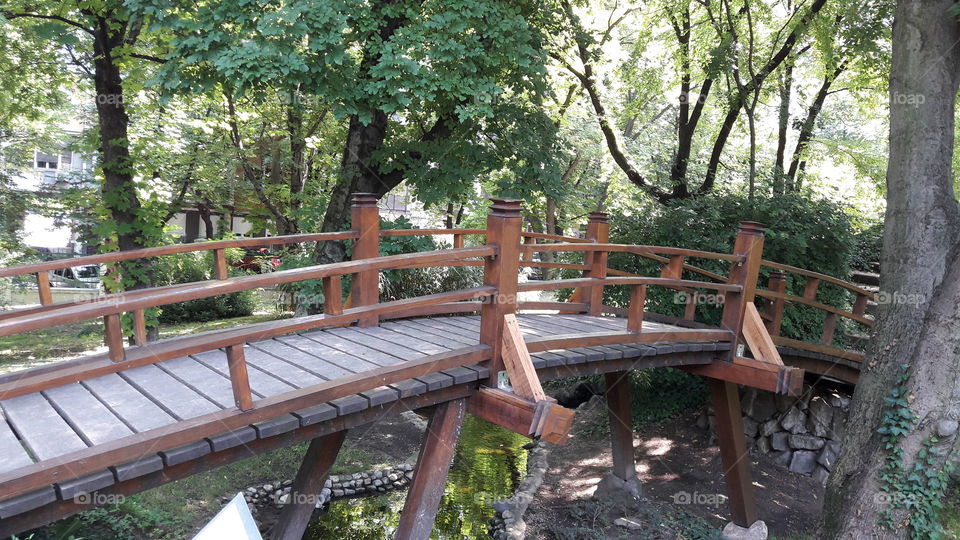 wooden bridge