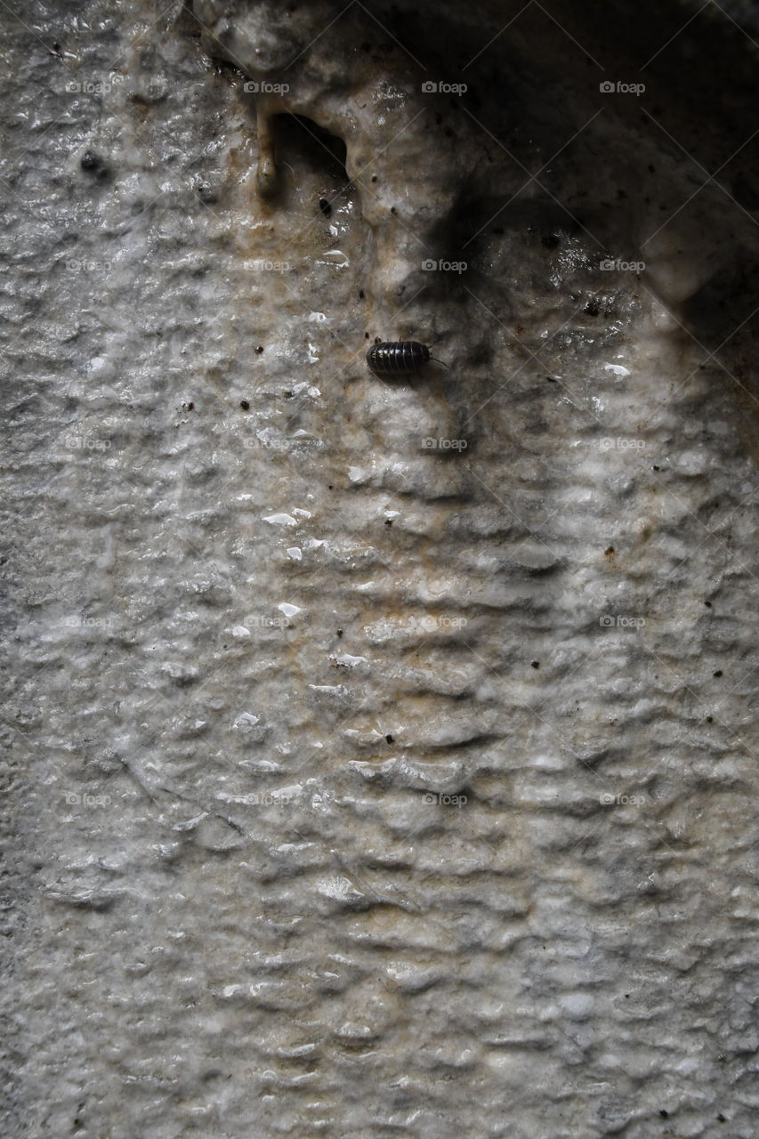 lime deposit stalactite