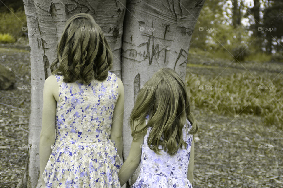 Take the Nostalgic Way Home ( Series )