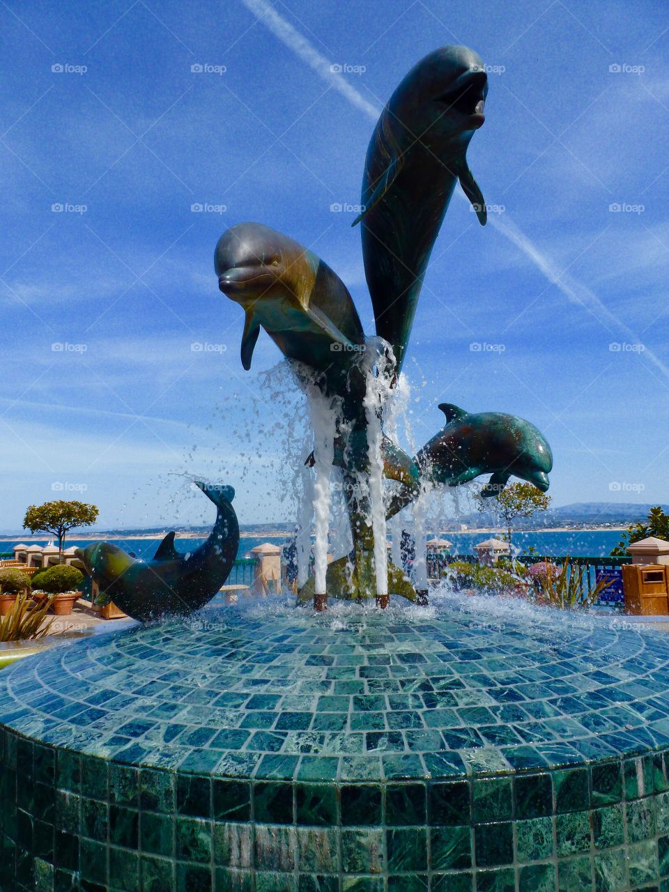 Dolphin Fountain 